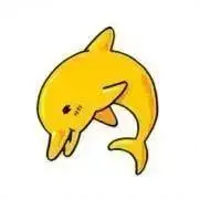 イルカ