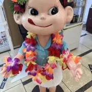 furu-sinの画像