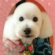 karinmama26の画像