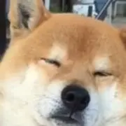 あいあい