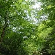 ブルーの画像
