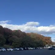 くさびの画像