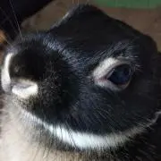 ゆみと