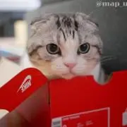 はるとです。