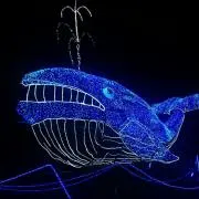 はち子の画像