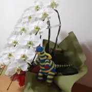 22の画像