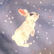 macaronの画像