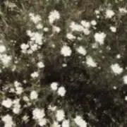 なな໒꒱.の画像