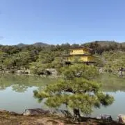アヤの画像