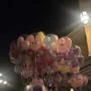 Kの画像