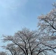 taekookの画像