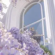 塁花の画像