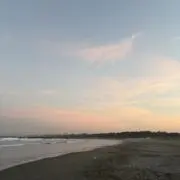 21の画像