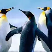 ぺんぷる⭐︎超特急の画像