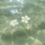 チュッパチャプス