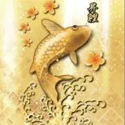 コージの画像