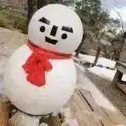 ゆず塩【プロフィール必読】の画像