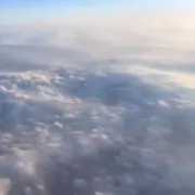 たまの画像