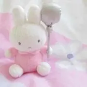 ボラ