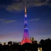 ゆうゆうの画像