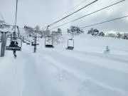 Rilaの画像
