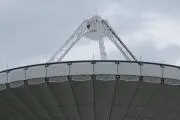 rinの画像