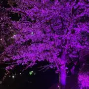 、、の画像
