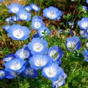 とまと[プロフ追記あり]の画像
