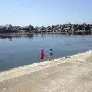 60cm⭐︎有田焼⭐︎古伊万里⭐︎弥左エ門作⭐︎飾皿 60cm⭐︎有田焼⭐︎古伊万里⭐︎弥左エ門作⭐︎飾皿 - メルカリ