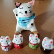 ココの画像
