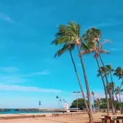 ®️の画像
