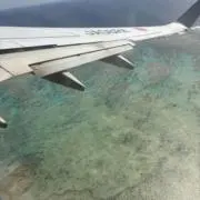 りこの画像