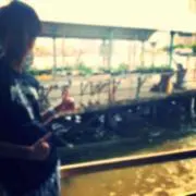 ゲロッピ