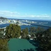 どみ～ゆの画像