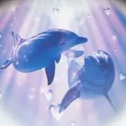 ゆっきぃ