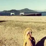 フェラナンデス32の画像