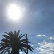 ショーン【フォロー割引実施中‼️】の画像