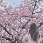 Hina✿の画像