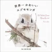 ishbullの画像