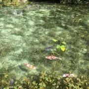 たつの画像