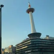 ゆゆゆの画像