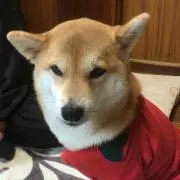 m.kの画像