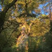 kの画像