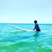 みーちゃんの画像
