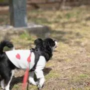 mnkの画像