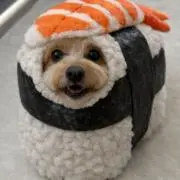 pan
