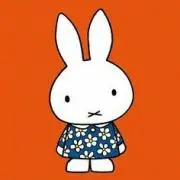 マメ【プロフ必読】【即買いOKです】