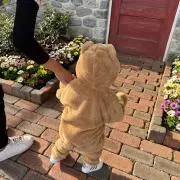 ほこり【早め発送ご相談ください】