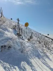 振り逃げ三振