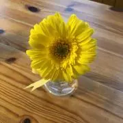 Porinの画像